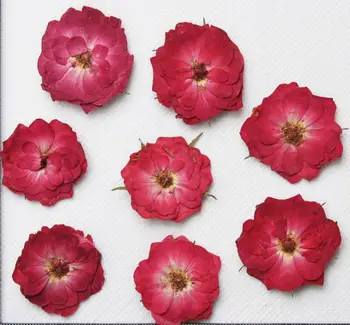 120pcs Apăsat Apăsați Uscate de Trandafir Flori de Umplere Pentru Epoxidică Rășină Pandantiv Colier Bijuterii de Luare de Artizanat DIY Accesorii