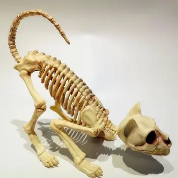 Halloween Schelet Înfricoșător Decor 1buc Chircit Pisica Schelet Pisica Craniu Model Ciudat Oase de Animale pentru Petrecerea VAMPIRILOR Truc